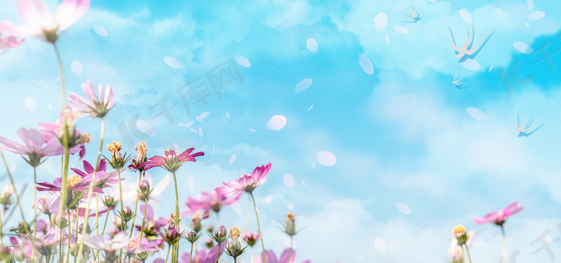 清新春天花开春天背景图片免费下载 海报banner Psd 千库网 图片编号 清新春天花开春天背景图片免费下载 海报banner Psd 千库网 图片编号