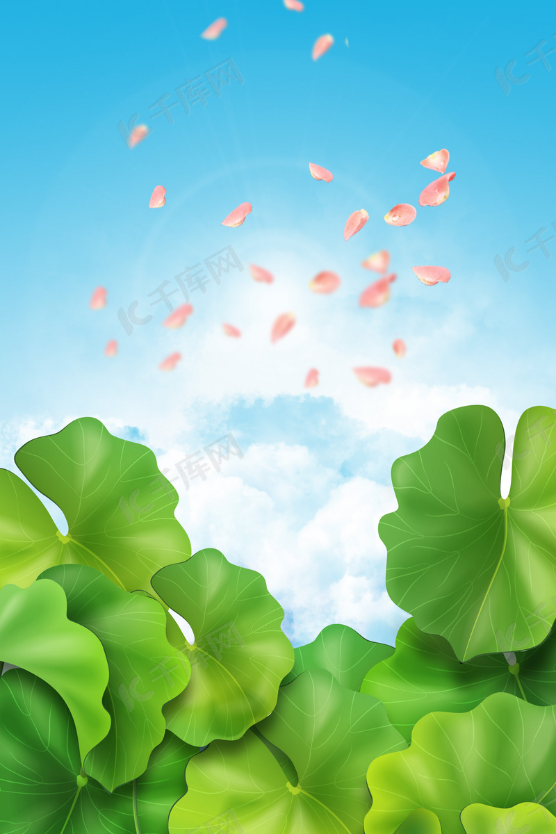 植物护肤翠绿荷叶背景图片免费下载 海报banner Psd 千库网 图片编号