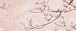 小清新粉色花卉电视墙背景合成