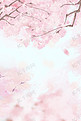 粉色浪漫花海樱花花朵花瓣风景背景素材