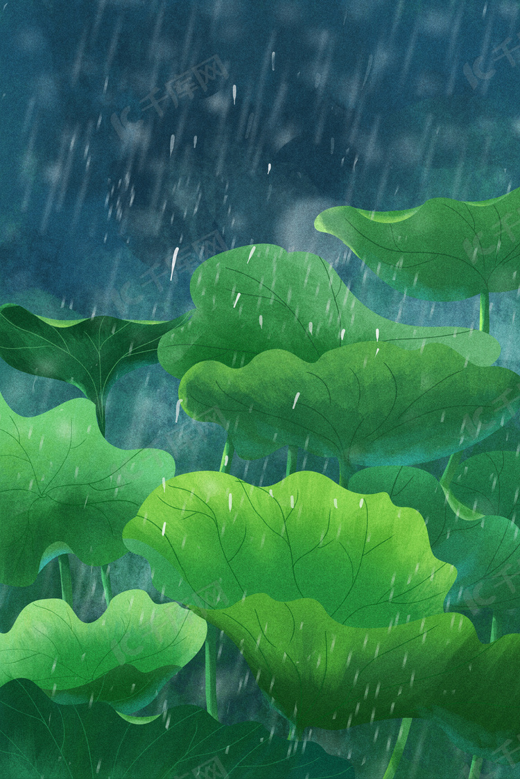 夏天夏季雨季夏至荷叶绿色广告背景