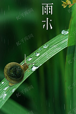 绿色清新蜗牛绿植背景