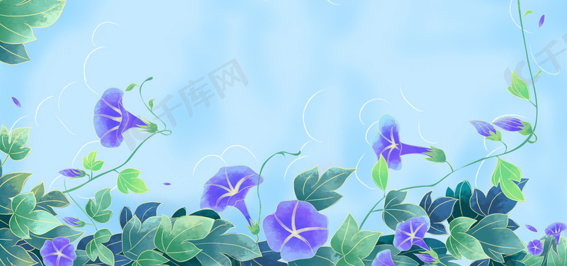 夏天牵牛花植物背景图片免费下载 海报banner Psd 千库网 图片编号 夏天牵牛花植物背景图片免费下载 海报banner Psd 千库网 图片编号