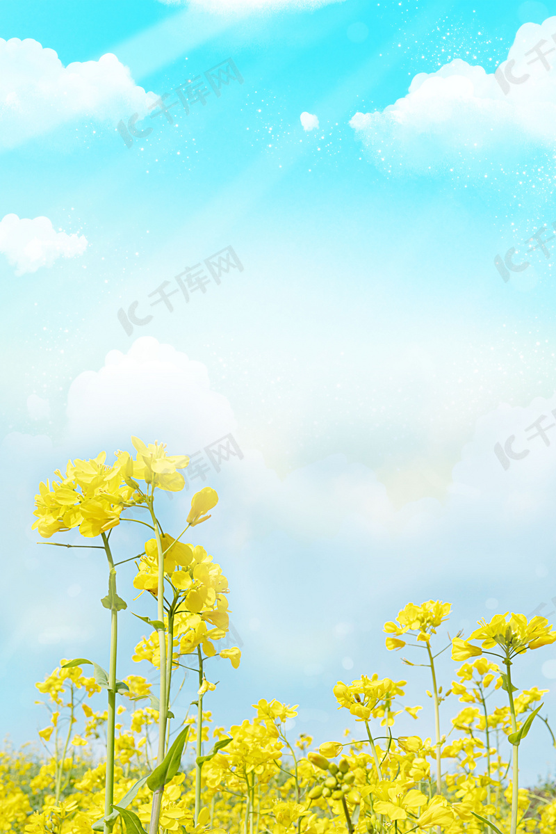 唯美春天花朵背景素材背景图片免费下载 海报banner Psd 千库网 图片编号 唯美春天花朵背景素材背景图片免费下载 海报banner Psd 千库网 图片编号