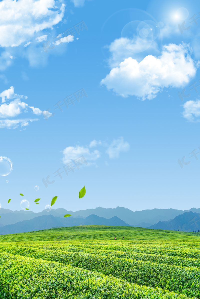蓝天白云春天春茶上新清新背景图片免费下载 海报banner Psd 千库网 图片编号