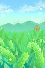 小满麦苗麦子节气稻子稻谷麦穗绿色风车背景