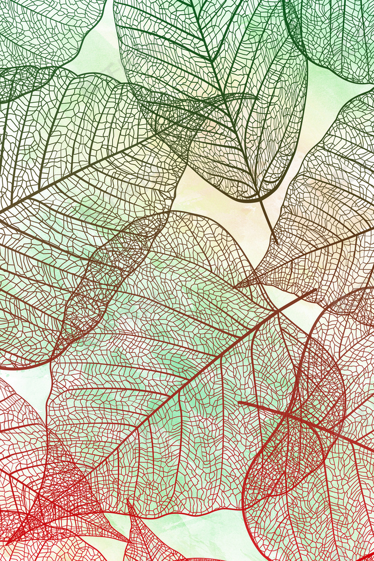 背景图库 树叶肌理 渐变色树叶纹理简约背景