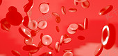C4D细胞红色 背景