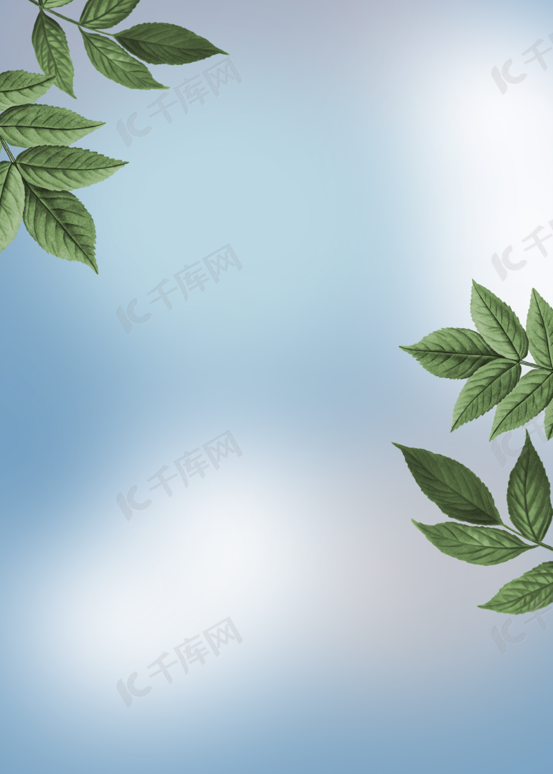 简单干净植物背景图片免费下载 海报banner Psd 千库网 图片编号