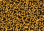 动物豹纹印花背景