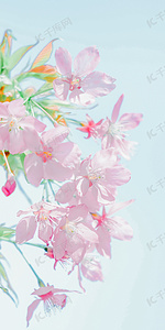 绿叶粉花可爱樱花手机壁纸