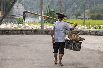 瑞安市农村村民背影下午村民农村无摄影图配图