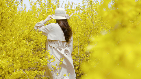 春天美女背影游玩赏花风景