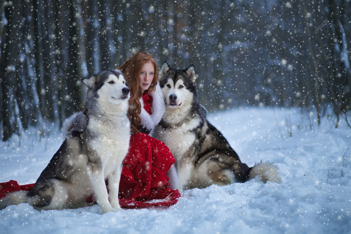 女人和狗 外面，开心 主题是人与动物的友谊 带吉娃娃的女孩 年轻女人和她的狗 库存图片 - 图片 包括有 少许, 婴孩: 185025271