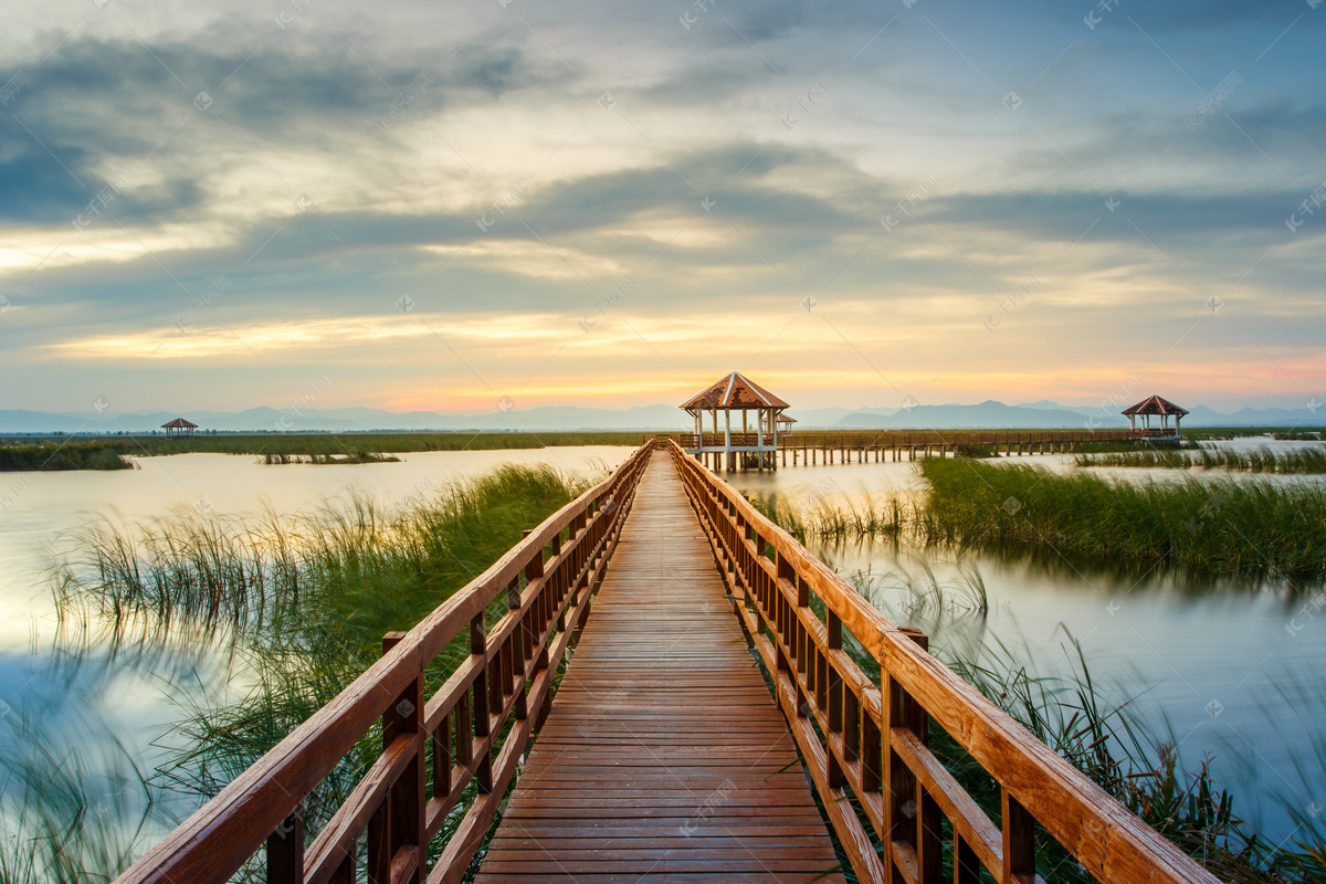 2021大莲湖湿地-旅游攻略-门票-地址-问答-游记点评，上海旅游旅游景点推荐-去哪儿攻略
