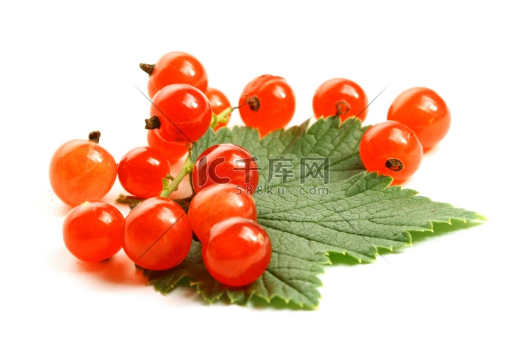 红醋栗和绿叶孤立在白色背景西红柿草莓高清摄影大图 千库网
