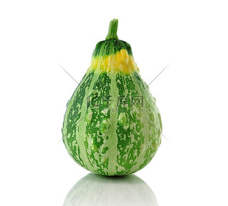 一种白色的装饰性葫芦