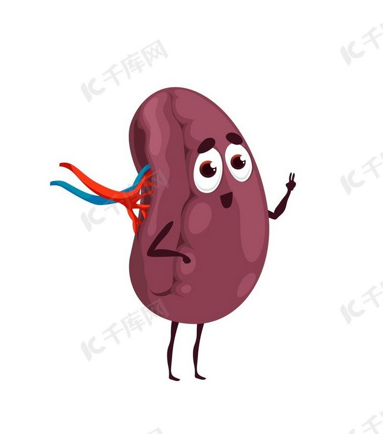 人类有趣的卡通脾脏性格。背景图片免费下载_海报banner/高清大图_千库网(图片编号6214691)