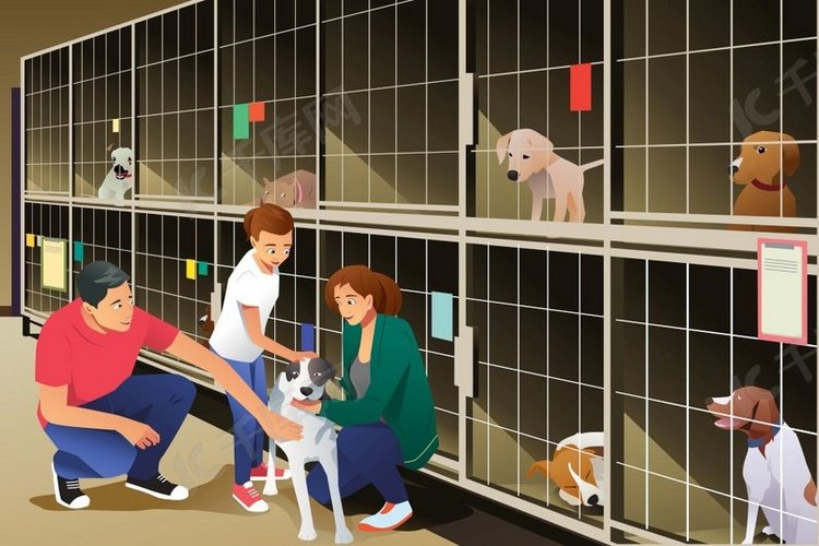 家庭从动物收容所收养狗的矢量图解背景图片免费下载_海报banner/高清大图_千库网(图片编号6309805)