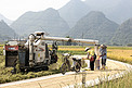 收割机收割水稻农民装稻谷摄影图