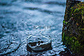 下雨天水面水滴雨水节气雨滴水面水花飞溅摄影图配图