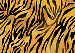 斑马老虎条纹黑色和金色抽象背景