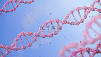 医疗DNA蓝色粉色