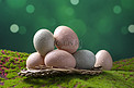 静物美食土鸡蛋鸡蛋新鲜鸡蛋摄影图配图
