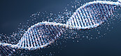 C4D医学DNA概念背景