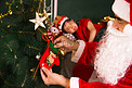 圣诞树圣诞节圣诞女孩圣诞礼物圣诞老人摄影图配图