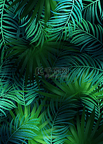 棕榈叶植物树叶青绿色创意背景