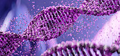 科学DNA紫色