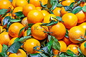 水果带叶脐橙摄影图配图