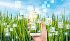 农业科技农业手机合成农业摄影图配图