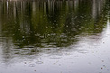 雨下午雨水自然下雨摄影图配图