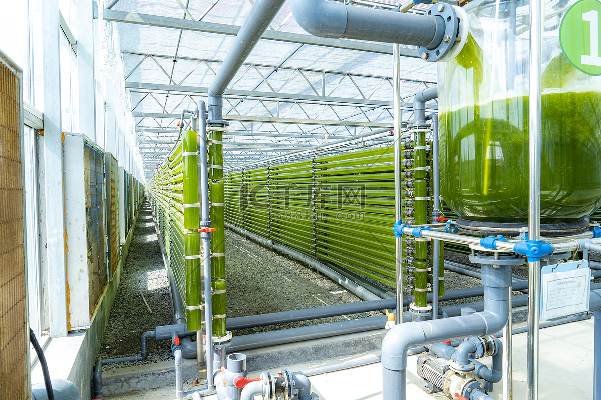 海藻养殖白天养殖间室内参观摄影图配图高清摄影大图-千库网