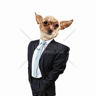 动物头西装图片_动物头西装素材-动物头西装图片大全-千库网