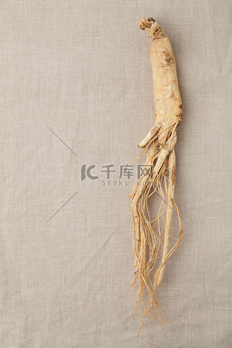 人参人图片素材_干人参根