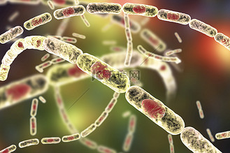 细菌孢子图片_细菌孢子素材-细菌孢子图片大全-千库网