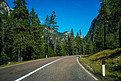 美丽的山路与树木，森林和山脉的背景。拍摄于意大利多洛米蒂山的国道公路。