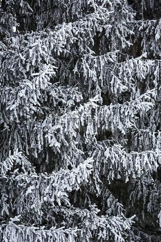 阴天下雪图片_阴天下雪素材-阴天下雪图片大全-千库网