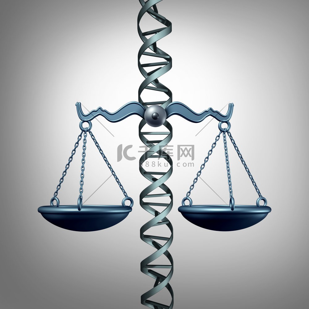 社会，问题，法律，法律高清摄影大图-千库网