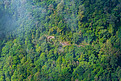 鸟瞰泰国热带森林