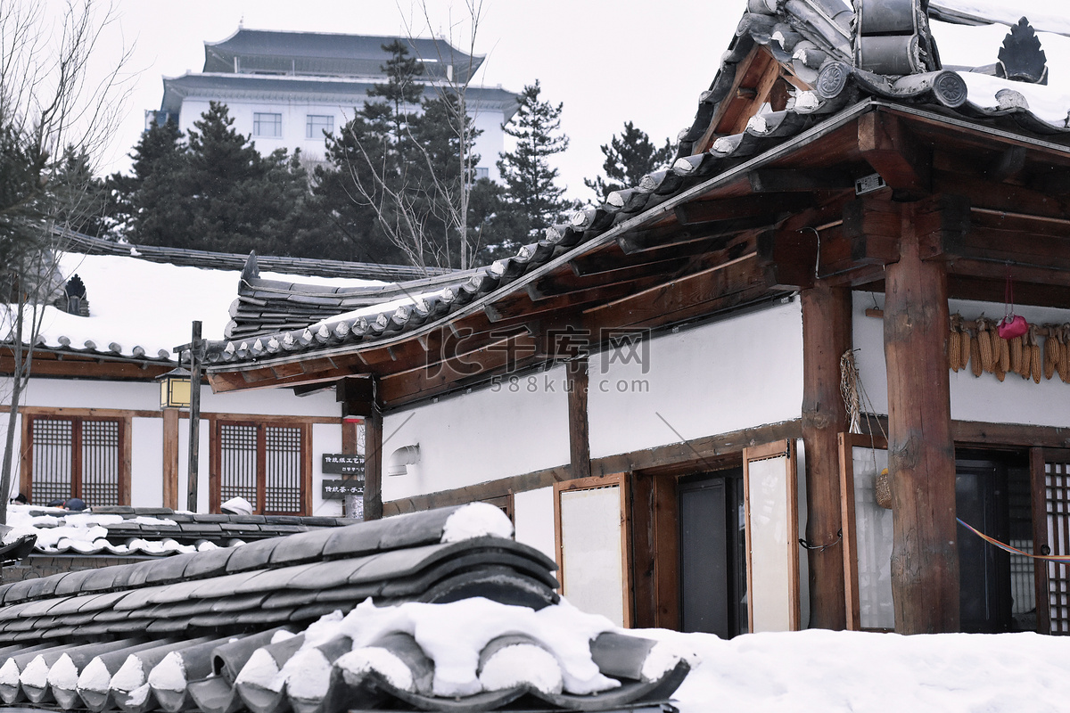 生态文明实践 || 东林学子的帽儿山之旅 - 东北林业大学 - 中国大学生在线