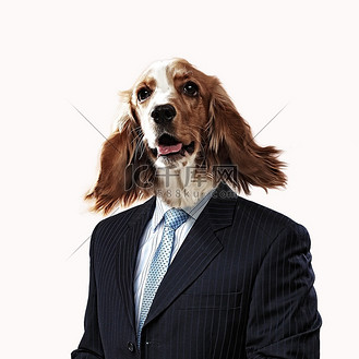 动物头西装图片_动物头西装素材-动物头西装图片大全-千库网