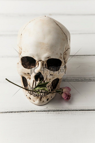有粉红色花朵的头骨骷髅头骷髅