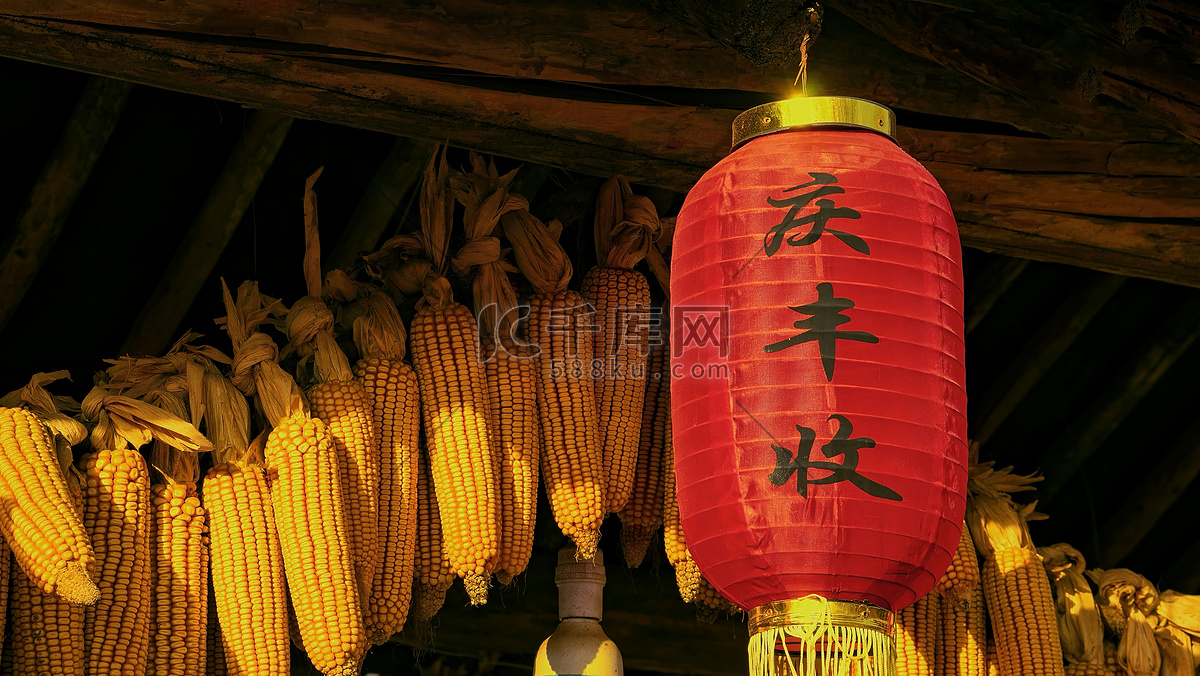 梦想起航，发展无疆 - Dream Set Sail, Boundless Development