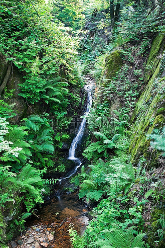 清新春意山涧瀑布峡谷流水
