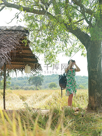 年轻女子用双筒望远镜观察树上的人物特写