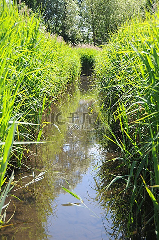 河水草自然公园